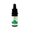 Medovka 100% esenciálny olej 10 ml (salvia)