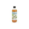 Kombucha biely čaj BIO 500ml (Stevikom)