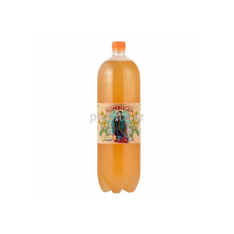 Nechtík Kombucha 2l (STEVIKOM)