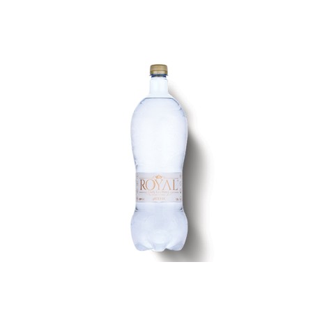 DAILY ION WATER 1,5l ionizovaná mikro-clusterovaná voda s ph 8,5 DAILY ION WATER 1,5l ionizovaná mikro-clusterovaná voda s ph 8,5