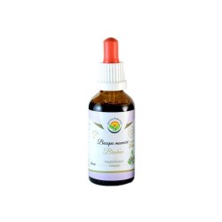 Brahmi AF tinktúra 50ml...